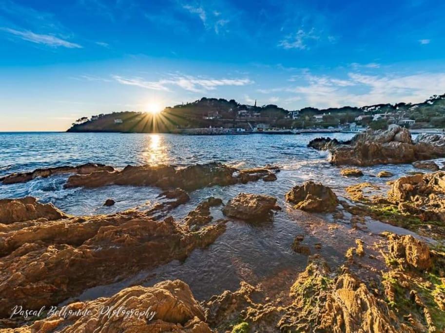 T2: 45M2 :4 Places :Independant Dans Villa Hyères Exteriér fotografie