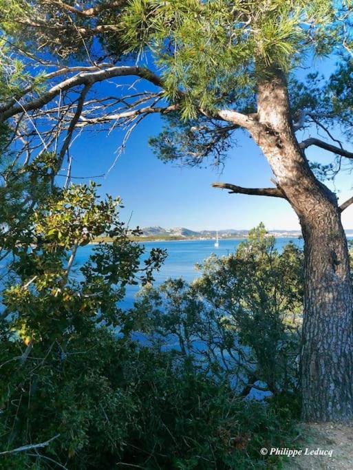 T2: 45M2 :4 Places :Independant Dans Villa Hyères Exteriér fotografie
