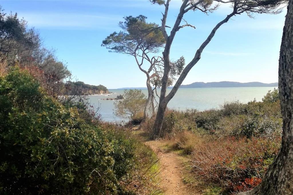 T2: 45M2 :4 Places :Independant Dans Villa Hyères Exteriér fotografie