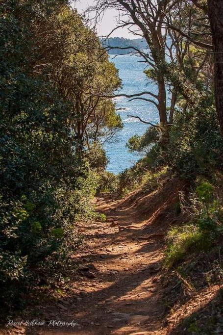 T2: 45M2 :4 Places :Independant Dans Villa Hyères Exteriér fotografie