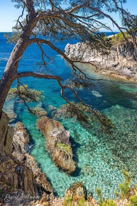 T2: 45M2 :4 Places :Independant Dans Villa Hyères Exteriér fotografie