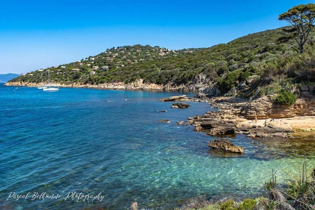 T2: 45M2 :4 Places :Independant Dans Villa Hyères Exteriér fotografie