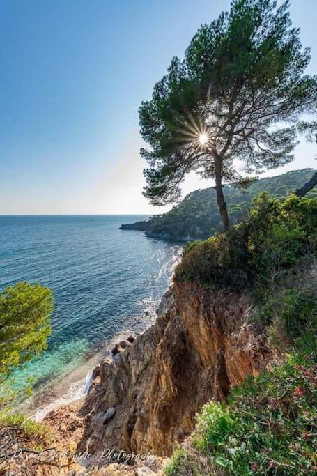 T2: 45M2 :4 Places :Independant Dans Villa Hyères Exteriér fotografie