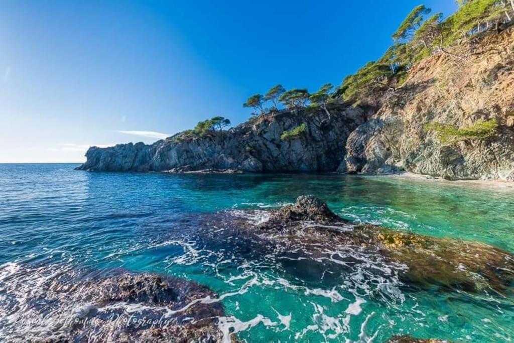 T2: 45M2 :4 Places :Independant Dans Villa Hyères Exteriér fotografie