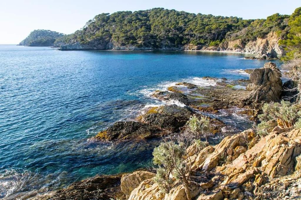 T2: 45M2 :4 Places :Independant Dans Villa Hyères Exteriér fotografie