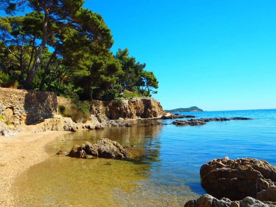 T2: 45M2 :4 Places :Independant Dans Villa Hyères Exteriér fotografie